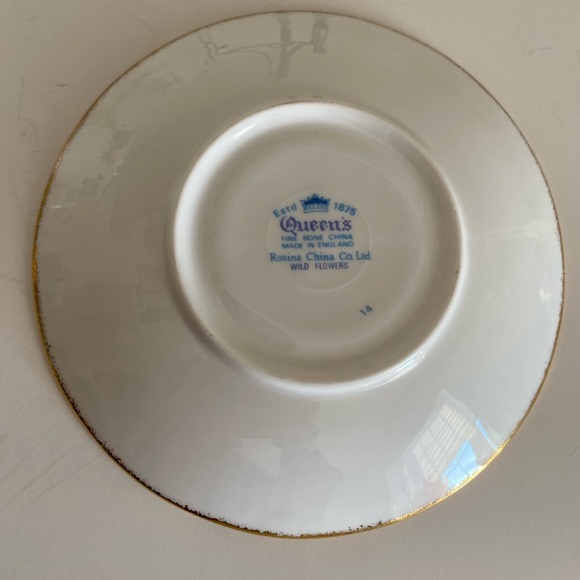 EUC VTG Queens Rosina China Co. Bone China Teacup and Saucer in “Wild Flowers” - Picture 6 of 8